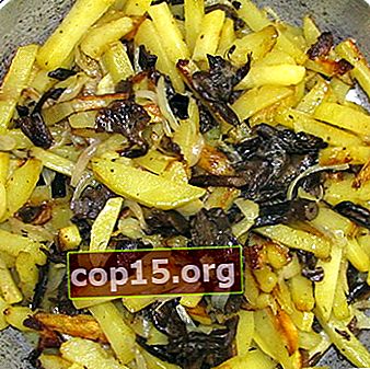 Potatis med svamp och lök: recept