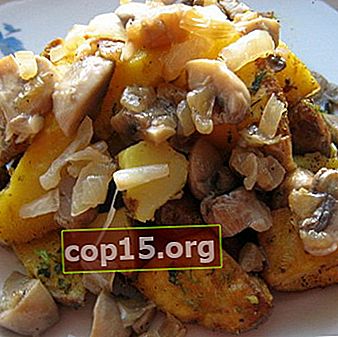 Délicieux plats de champignons avec pommes de terre: recettes de cuisine