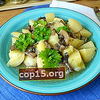 Gestoofde aardappelen met champignons: recepten met foto's en video's