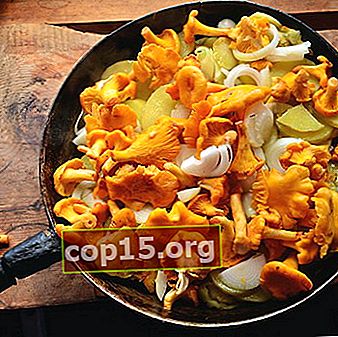 Aardappelen met cantharellen: recepten voor paddenstoelengerechten