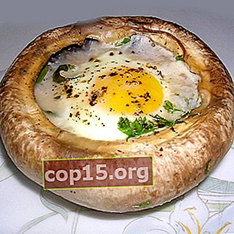 Champignons met eieren: recepten voor hartige gerechten