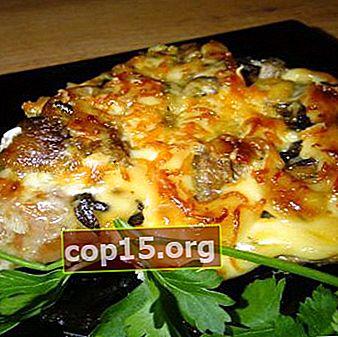 Recepten voor het koken van varkensvlees met champignons