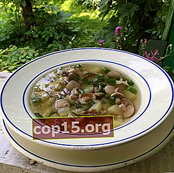 Botersoepen: recepten van verse en bevroren champignons
