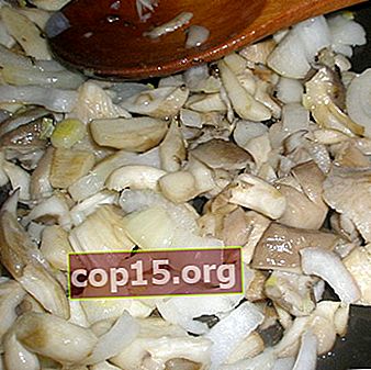 Come cucinare correttamente i funghi ostrica