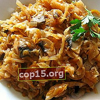 Cosa cucinare con funghi e cavoli: ricette