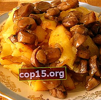 Patatas guisadas con carne y champiñones: recetas de platos abundantes.