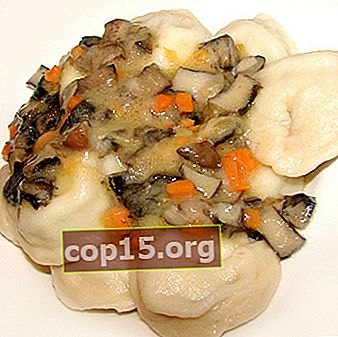 Dumplings aux champignons aux champignons