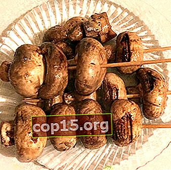 Champignons på spett: recept på kanapéer och svampkebab