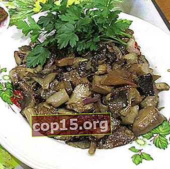 Stekt ryadovki: recept på hur man korrekt lagar svamp