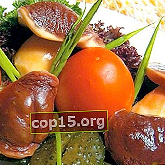 Hur man betar aspsvampar för vintern i burkar