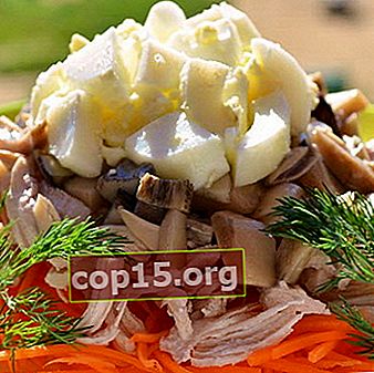 Salades aux champignons au lait salé: recettes de cuisine