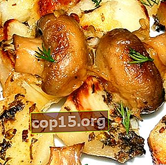 Diet champignons: recept för första och andra kurser