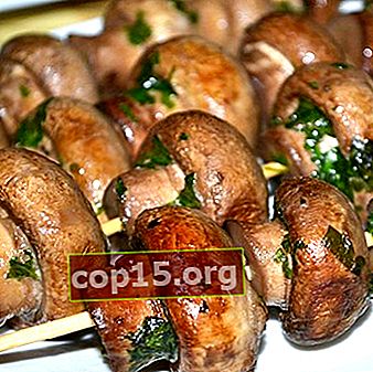 Hoe u champignons kunt koken: recepten met foto's