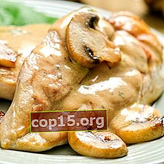 Kycklingbröst med champignoner: recept på läckra rätter