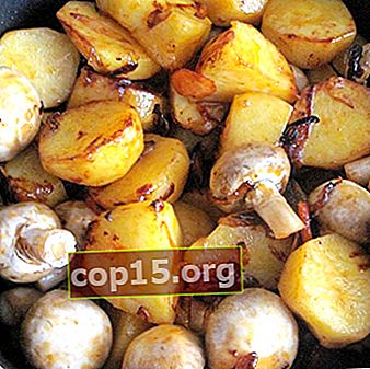 Champignons met aardappelen: recepten voor heerlijke gerechten