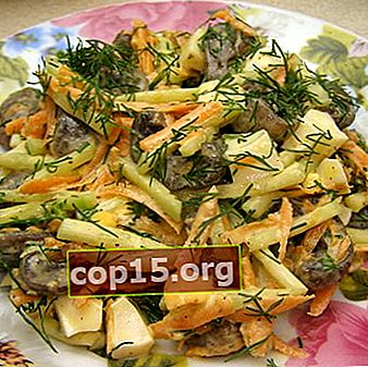 Salades maigres aux champignons: recettes étape par étape