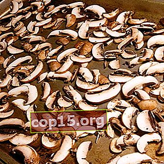 Uscarea ciupercilor de toamnă: rețete pentru iarnă