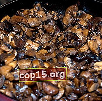 Gebakken boletuschampignons: recepten voor het koken van champignons