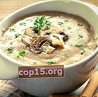 Supe de champignon: rețete de casă