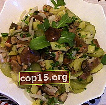 Recepten voor heerlijke salades met champignons en aardappelen