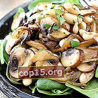 Insalate di champignon fritte: una selezione di ricette