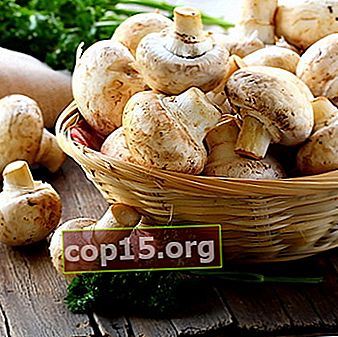 De voordelen en nadelen van champignons voor het menselijk lichaam