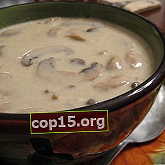 Zuppa di purea di funghi di ostrica: ricette per i primi piatti