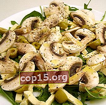 Insalate di funghi con champignon: ricette per sfiziosi antipasti