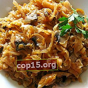 Cavolo con carne e funghi: ricette per piatti deliziosi