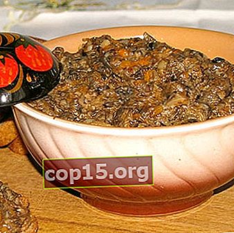 Recetas de caviar de hongos de piernas de hongos para el invierno.