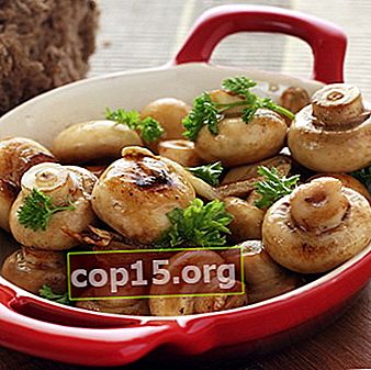 Deliziosi piatti freschi di champignon
