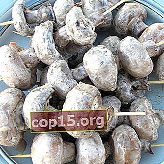 Marinata per funghi: ricette popolari