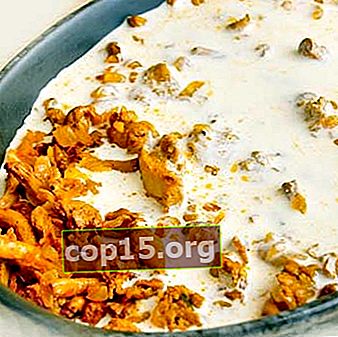 Chanterelles cu smântână: rețete delicioase pentru preparate cu ciuperci