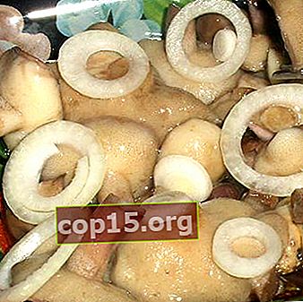 Salare i funghi del latte caldi e freddi per l'inverno