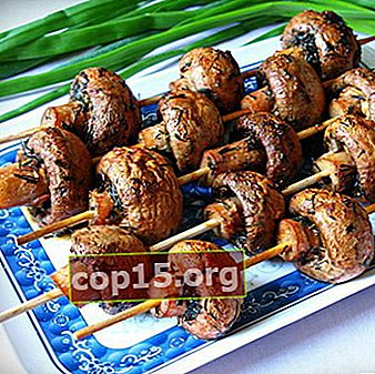 Antipasti di champignon su spiedini: kebab e tartine
