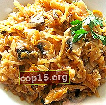 Solyanka con funghi e cavolo: ricette fatte in casa