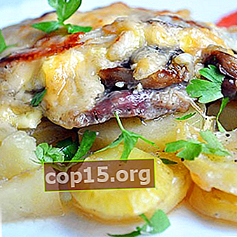 Patatas con champiñones y queso: recetas para cocinar.