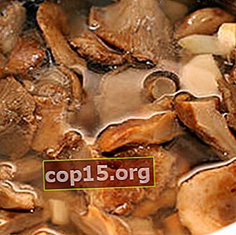 Ricette per marinare i funghi del latte per l'inverno a casa (con foto)