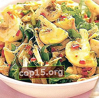 Salades de champignons: les meilleures recettes