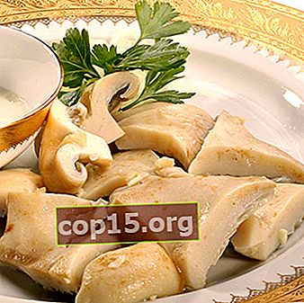 Funghi al latte con aglio: ricette per l'inverno