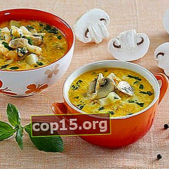 Soupe de champignon au fromage fondu: recettes pour les premiers plats