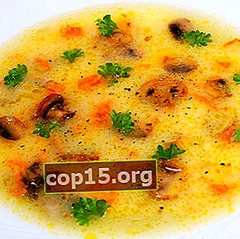 Deliciosas sopas de champiñones con patatas